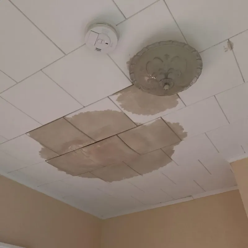 Ceiling Water Damage Repair in Millis-Clicquot, MA