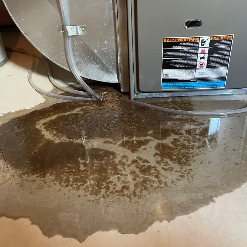 Pipe Burst and Leak Restoration in Millis-Clicquot, MA